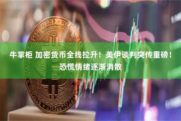 牛掌柜 加密货币全线拉升！美伊谈判突传重磅！恐慌情绪逐渐消散
